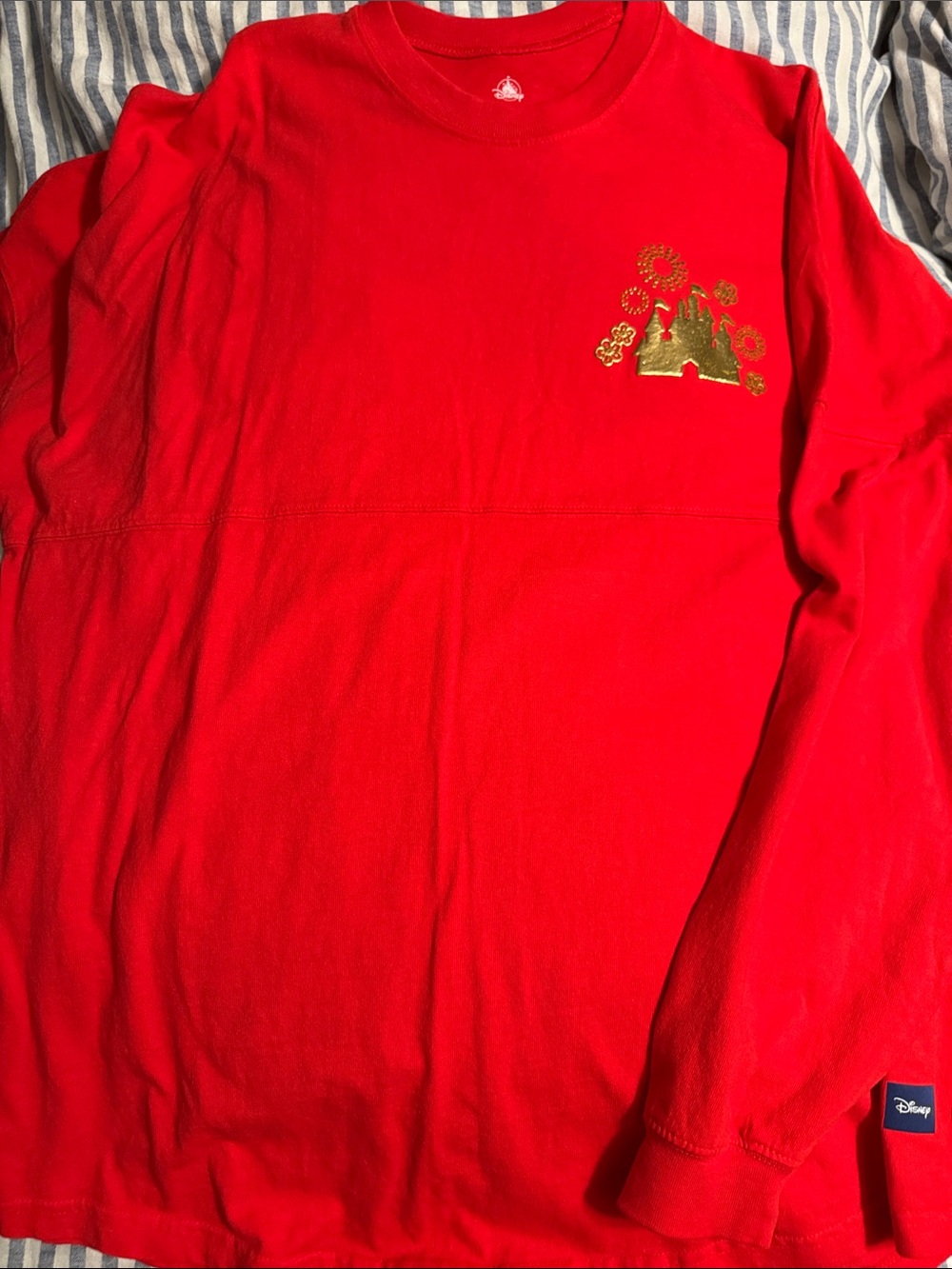 Disney Year of the Dragon Spirit Jersey